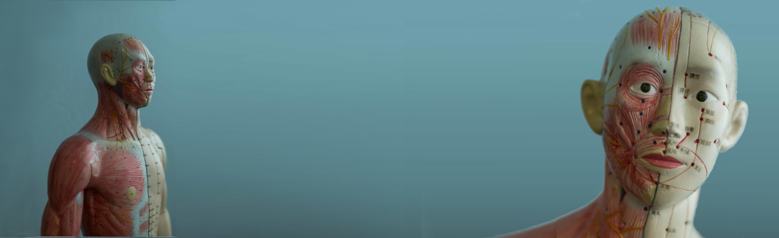 Meridian Mann Shiatsu